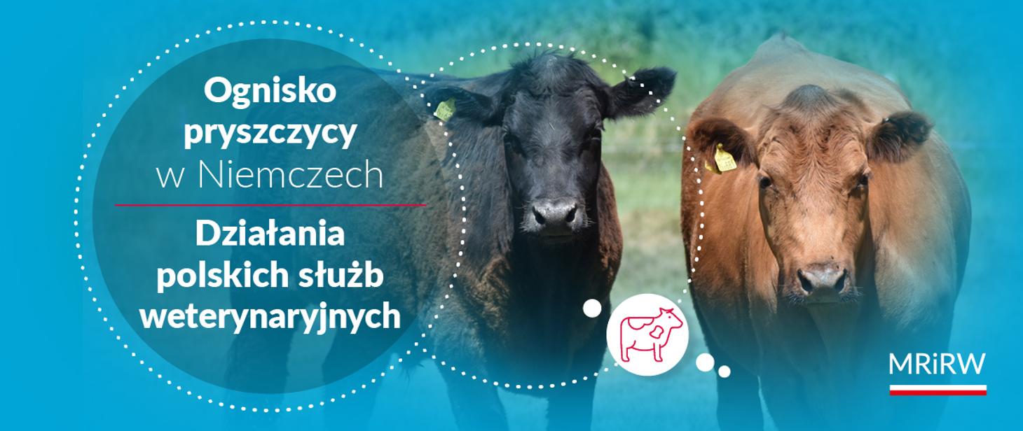 źródło: Ministerstwo Rolnictwa i Rozwoju Wsi