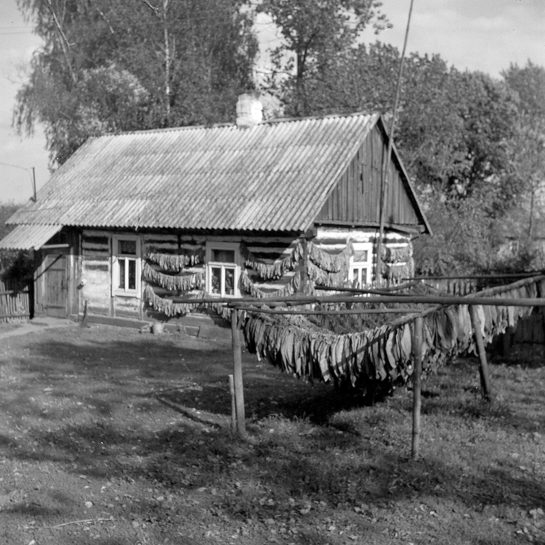 Zdjęcie do wiadomości "Zbójna i okolice w starej fotografii"
