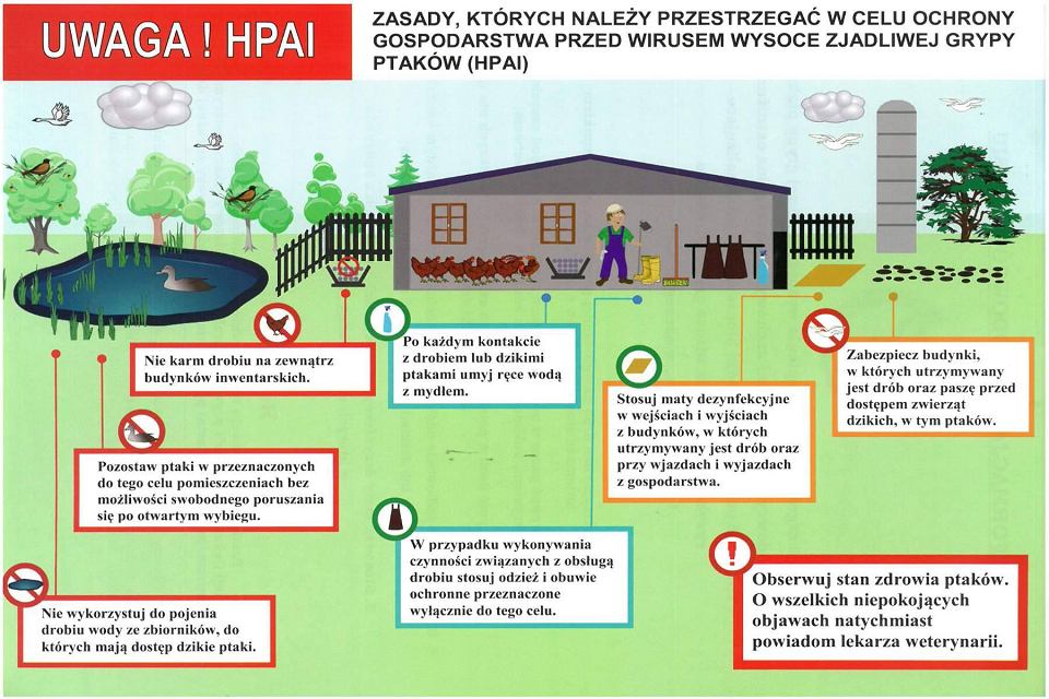 Zdjęcie do wiadomości Uwaga na ptasią grypę!!!
