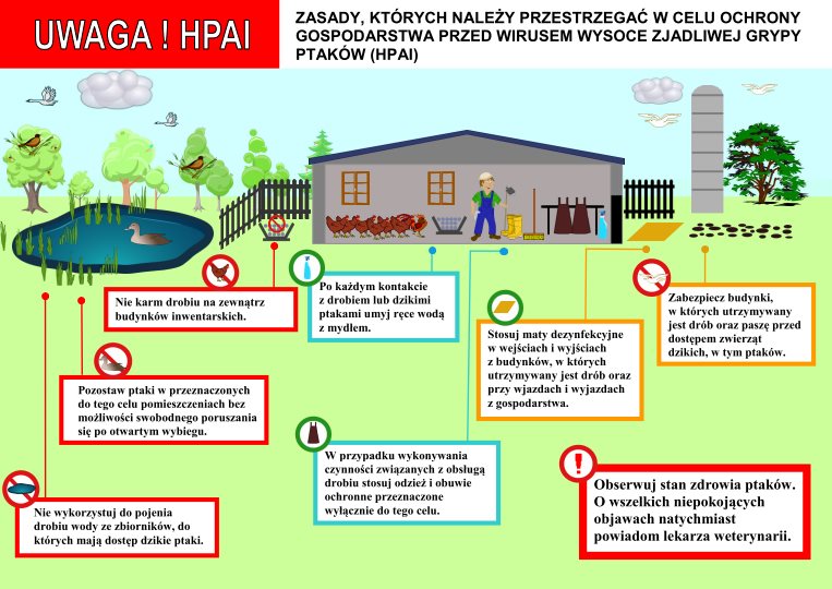 Zdjęcie do wiadomości Zasady ochrony drobiu przed wirusem grypy ptaków
