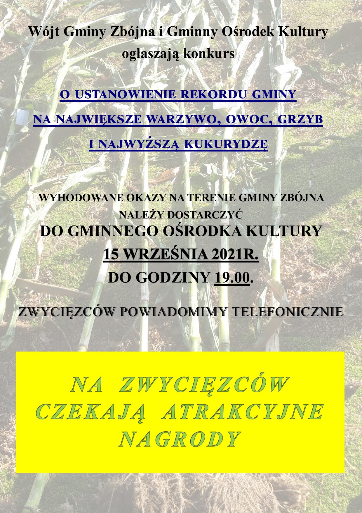 Zdjęcie do wiadomości Rekordy Gminy