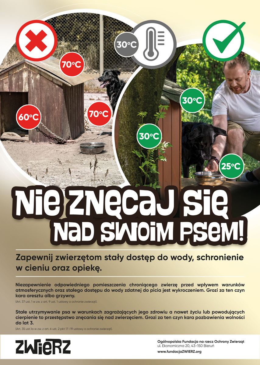 Zdjęcie do wiadomości Pies czuje tak jak Ty - fundacjazwierz.org